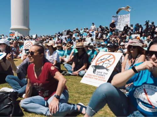 Home | Responsible Future Illawarra
